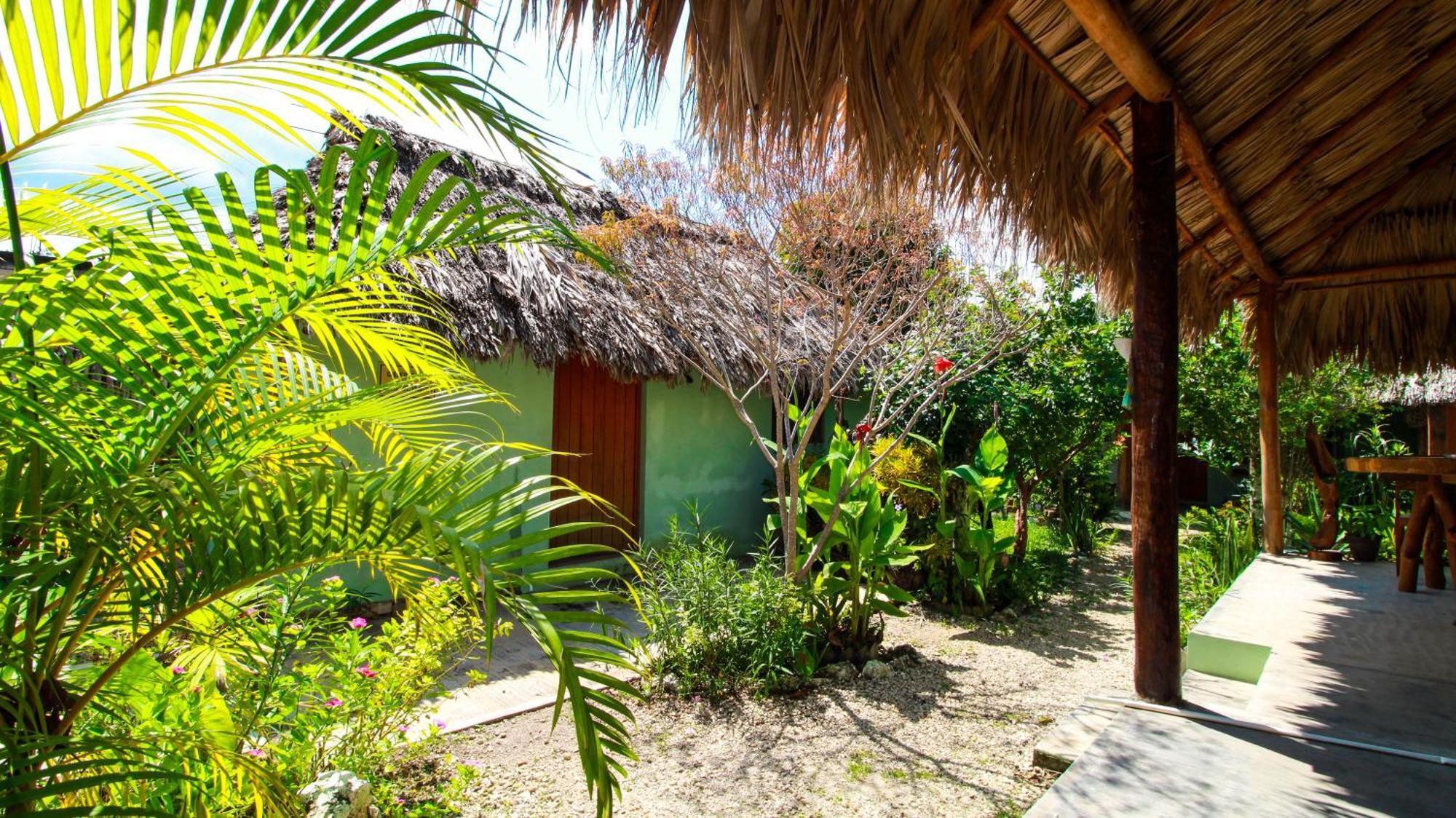 Las Palmas バカラル エクステリア 写真
