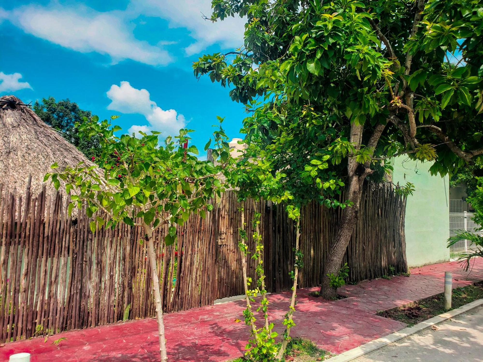 Las Palmas バカラル エクステリア 写真